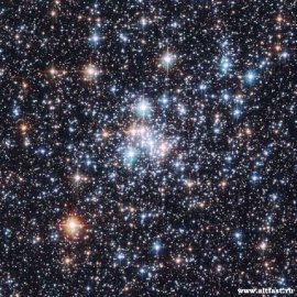 1272095720_1272035524_beautiful_photogrpaphs_21