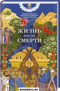 Иеротей Влахос 8